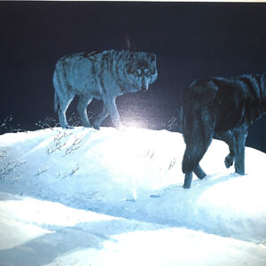 Wolf Shadow Weavers painting 1987