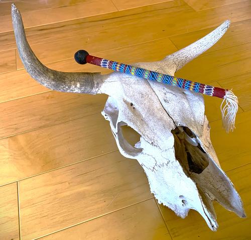 Cow skull and indigenous drumstick