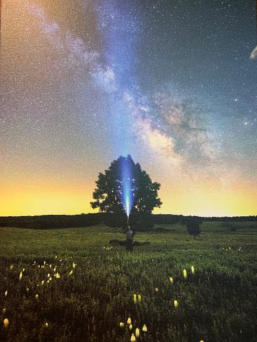 Big Meadows Wedding tree painting